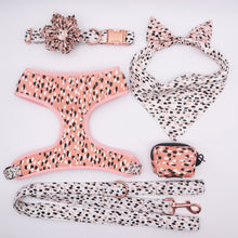 Load image into Gallery viewer, Leopard Design Funky Premium Bundle: Leash, Flower Collar, Harness, Scrunchie, Bandana, And Poopbag - GiftyDogStore
