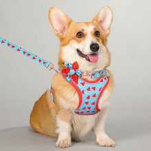 Load image into Gallery viewer, Melons Mega Bundle : Leash, Harness, Flower Collar - GiftyDogStore
