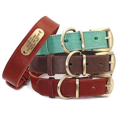 Classy Leather Collar: Personalized - GiftyDogStore