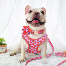 Load image into Gallery viewer, Fruity Punch Mega Bundle : Leash, Harness, And Flower Collar - GiftyDogStore
