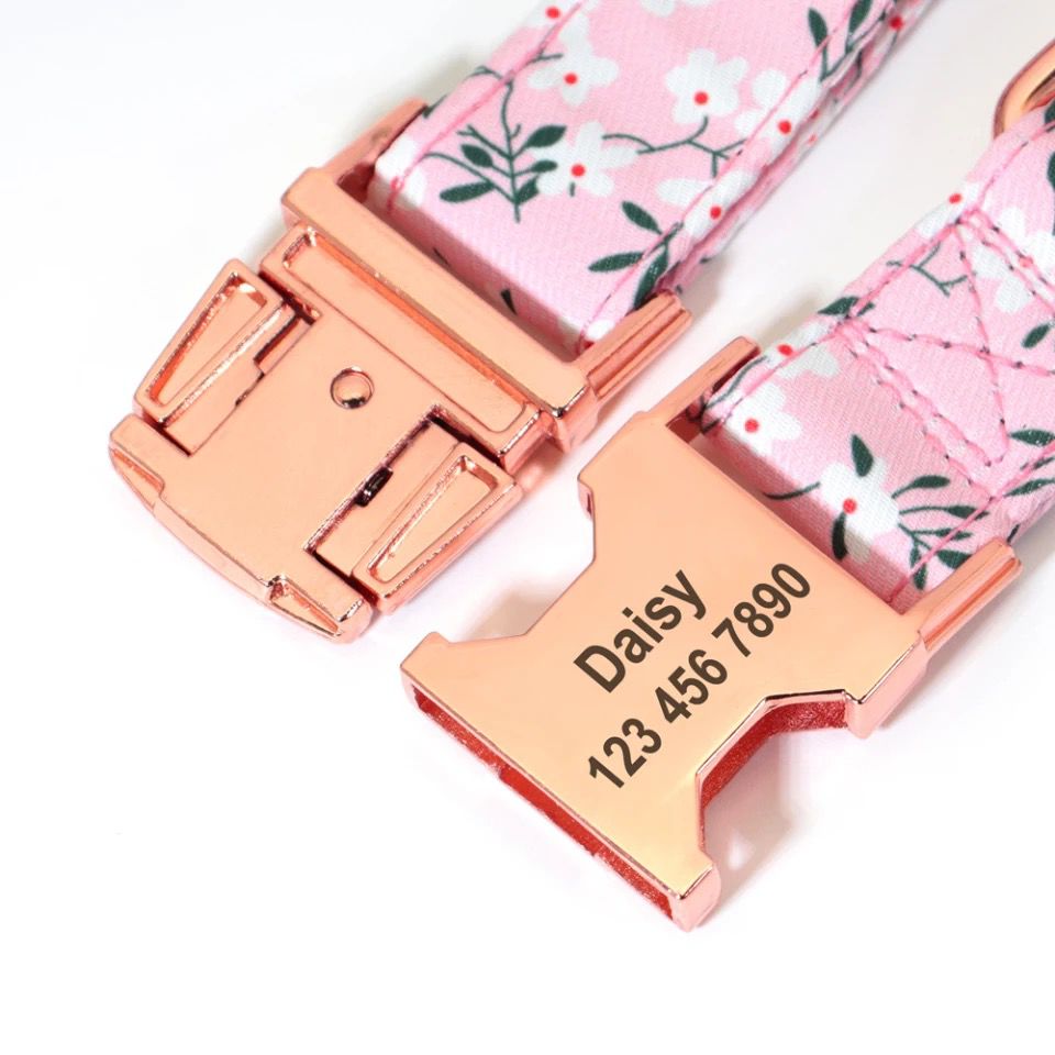 Free Engraving On Latest Collection Of Personalized Collars, Leashes And Harnesses.