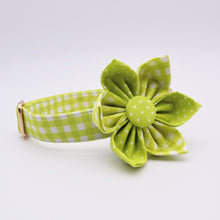 Load image into Gallery viewer, Green Polka Dots - GiftyDogStore
