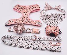 Load image into Gallery viewer, Leopard Design Funky Premium Bundle: Leash, Flower Collar, Harness, Scrunchie, Bandana, And Poopbag - GiftyDogStore
