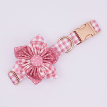 Load image into Gallery viewer, Polkas N stripes: Personalized - GiftyDogStore
