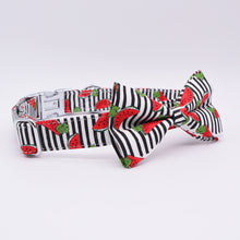 Load image into Gallery viewer, Melody Melon Watermelon Mega Bundle : Leash, Harness, And Bowtie Collar - GiftyDogStore
