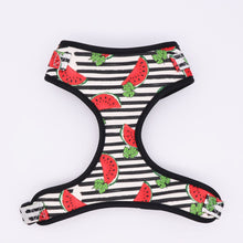 Load image into Gallery viewer, Melody Melon Watermelon - GiftyDogStore

