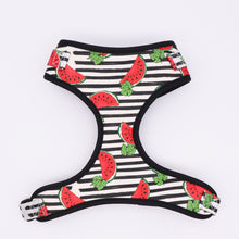 Load image into Gallery viewer, Melody Melon Watermelon: Harness - GiftyDogStore
