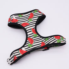 Load image into Gallery viewer, Melody Melon Watermelon: Harness - GiftyDogStore
