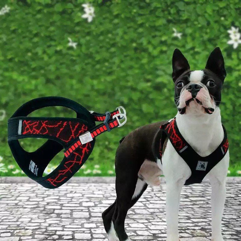 Reflective Variegated Glow Harness - GiftyDogStore