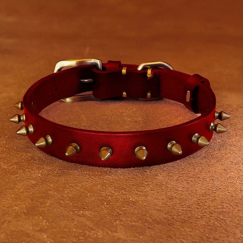 Spikey Leather Pet Collar: Personalized - GiftyDogStore