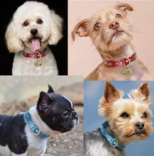 Load image into Gallery viewer, Metals N Studs: Leather collars - GiftyDogStore
