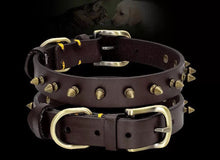 Load image into Gallery viewer, Spikey Leather Pet Collar: Personalized - GiftyDogStore
