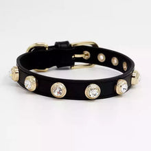 Load image into Gallery viewer, Crystal Studded Colorful Leather Pet Collar - GiftyDogStore
