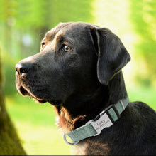 Load image into Gallery viewer, Classy One - Personalized Bamboo Collar - GiftyDogStore
