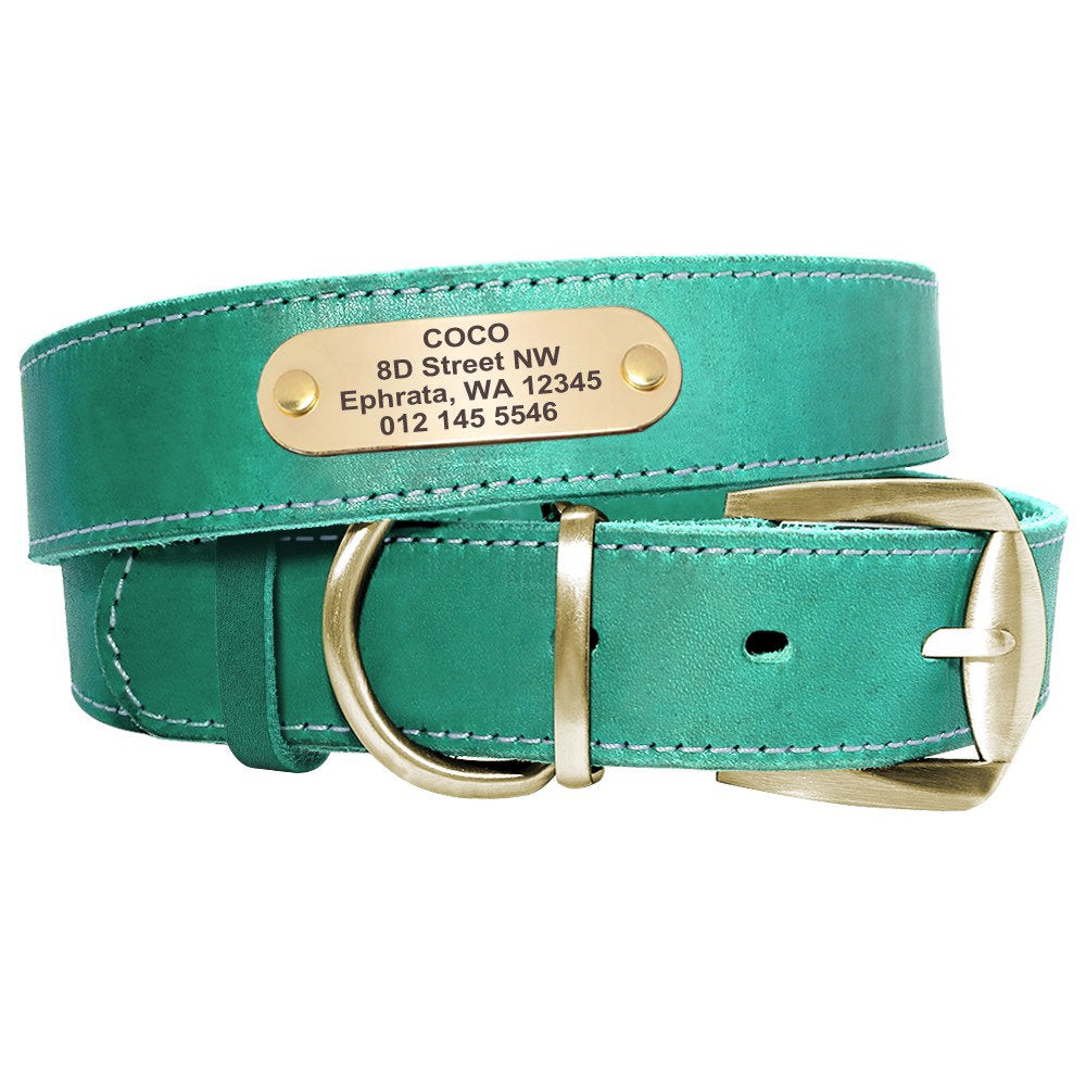 Classy Leather Collar: Personalized - GiftyDogStore