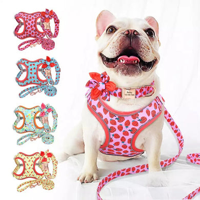 Fruity Punch Mega Bundle : Leash, Harness, And Flower Collar - GiftyDogStore