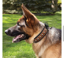 Load image into Gallery viewer, Metal N Leather: Collars - GiftyDogStore

