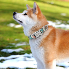 Load image into Gallery viewer, Collar N Style: Personalized - GiftyDogStore
