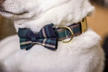 Load image into Gallery viewer, Disco Lights Bowtie - Personalized - GiftyDogStore
