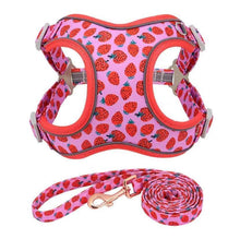 Load image into Gallery viewer, Strawberry Ice Cream Mega Bundle : Leash, Harness, And Flower Collar - GiftyDogStore
