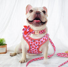 Load image into Gallery viewer, Strawberry Ice Cream Mega Bundle : Leash, Harness, And Flower Collar - GiftyDogStore
