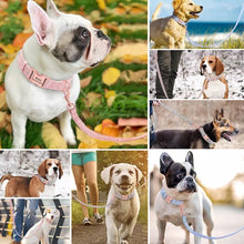 Load image into Gallery viewer, The One - Personalized Bamboo Dog Collar &amp; Leash - GiftyDogStore
