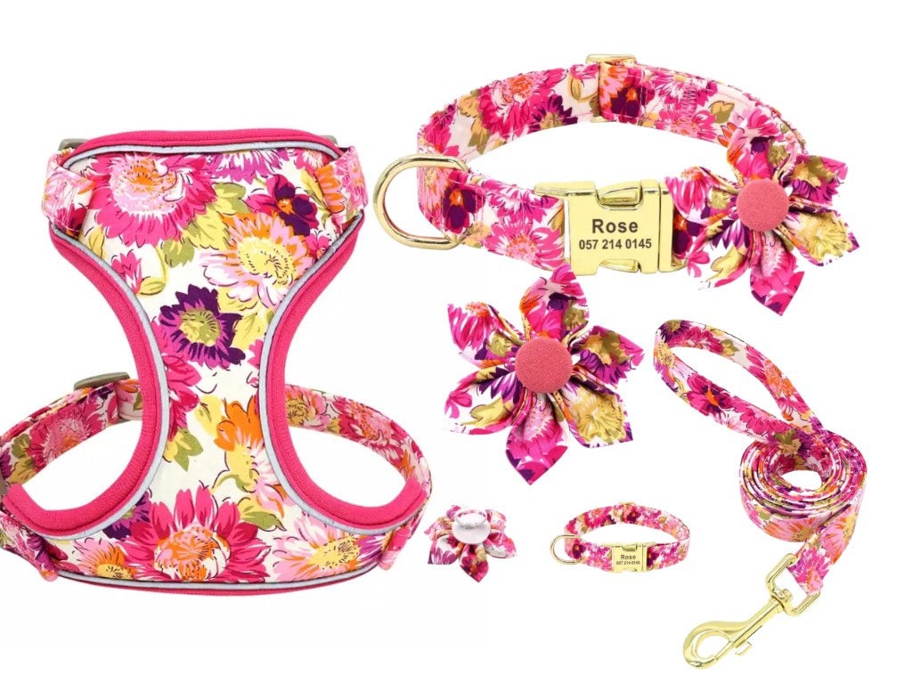 Floral Showers Mega Bundle : Leash, Harness, And Flower Collar - GiftyDogStore
