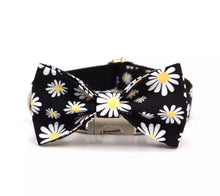 Load image into Gallery viewer, Night Daisies: Personalized - GiftyDogStore
