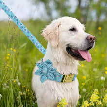 Load image into Gallery viewer, Blue Skies Mega Bundle : Leash, Harness, And Flower Collar - GiftyDogStore
