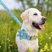 Load image into Gallery viewer, Blue Skies: Flower Collar Leash personalized - GiftyDogStore
