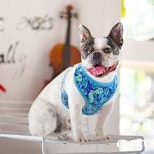 Load image into Gallery viewer, Kaleidoscopic Collars, Harness and Leash Sets - GiftyDogStore
