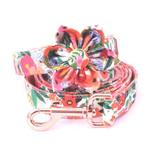 Load image into Gallery viewer, Elegant Autumn Floral Mega Bundle : Leash, Harness, and Bowtie/Girly Bow/ Flower Collar - GiftyDogStore
