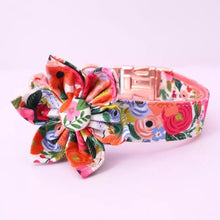 Load image into Gallery viewer, Elegant Autum Floral Flower Collar and Leash - GiftyDogStore
