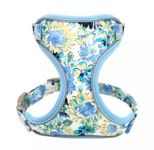 Load image into Gallery viewer, Vintage Blue Floral Design Mega Bundle : Leash, Harness, And Flower Collar - GiftyDogStore
