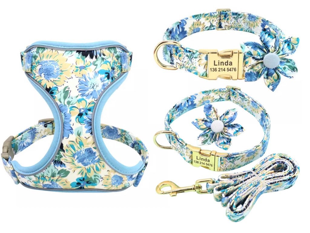 Vintage Blue Floral Design Mega Bundle : Leash, Harness, And Flower Collar - GiftyDogStore