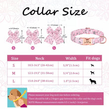 Load image into Gallery viewer, Pink N trend: Girly Collar - GiftyDogStore
