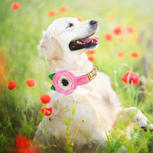 Load image into Gallery viewer, Flowery Flower Collars: Personalized - GiftyDogStore
