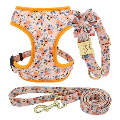 Craze Orange Floral Design Mega Bundle : Leash, Harness, Flower Collar - GiftyDogStore