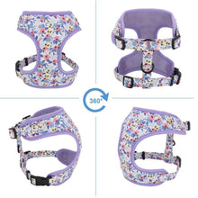 Load image into Gallery viewer, Violet Hues Mega Bundle : Leash, Harness, And Flower Collar - GiftyDogStore
