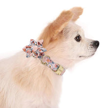 Load image into Gallery viewer, Craze Orange Floral Design Flower Collar and Leash - GiftyDogStore
