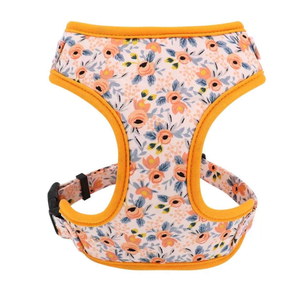 Craze Orange Floral Design Harness - GiftyDogStore