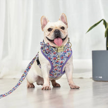 Load image into Gallery viewer, Violet Hues Mega Bundle : Leash, Harness, And Flower Collar - GiftyDogStore
