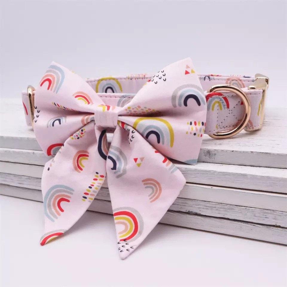 Rainbow Trends Girly Collar With Leash - GiftyDogStore