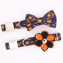Load image into Gallery viewer, Hocus N pocus: Personalized Collars - GiftyDogStore
