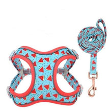 Load image into Gallery viewer, Melons Mega Bundle : Leash, Harness, Flower Collar - GiftyDogStore
