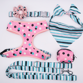 Load image into Gallery viewer, Ultrachic Designer Mega Bundle : Leash, Harness, And Flower Collar - GiftyDogStore
