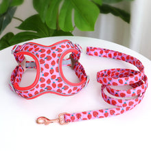 Load image into Gallery viewer, Fruity Punch Mega Bundle : Leash, Harness, And Flower Collar - GiftyDogStore
