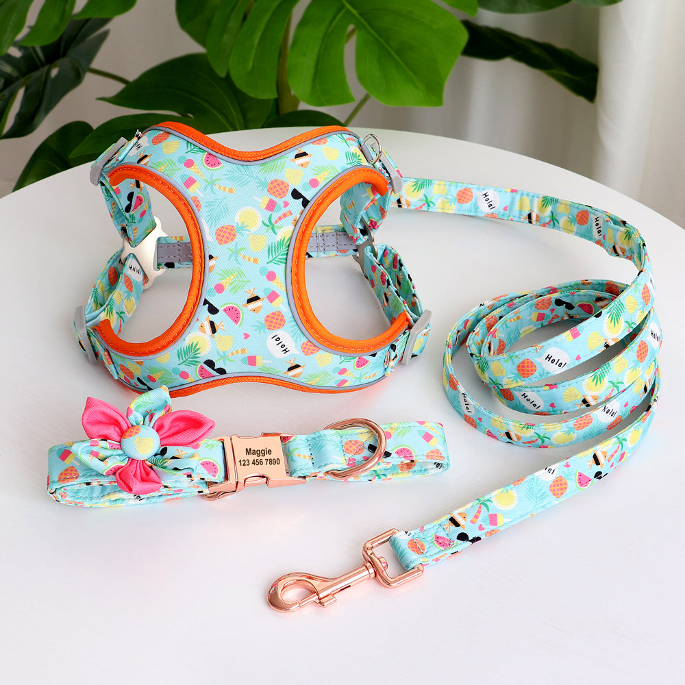 Fruity Punch Mega Bundle : Leash, Harness, And Flower Collar - GiftyDogStore