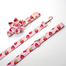 Load image into Gallery viewer, Strawberries ‘n’ Cream Premium Bundle: Leash, Harness, Flower Collar And Girly Bow Collar - GiftyDogStore
