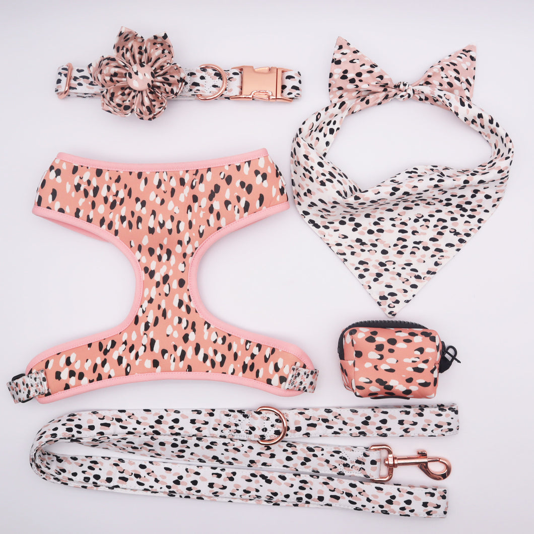 Leopard Design Funky Premium Bundle: Leash, Flower Collar, Harness, Scrunchie, Bandana, And Poopbag - GiftyDogStore